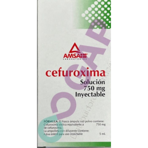 GE CEFUROXIMA AMSA SOL INY 750 MG 1 AMP 5 ML