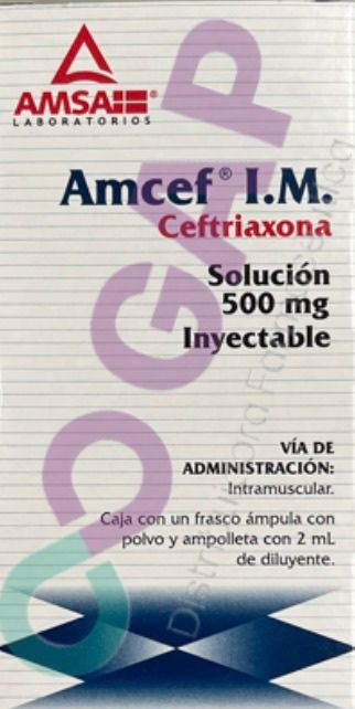 GE CEFTRIAXONA AMCEF I.M. 500 MG AMP 2 ML