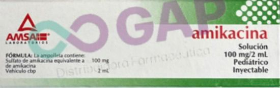 GE AMIKACINA 100 MG 2 AMP INY 2ML