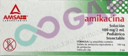 GE AMIKACINA AMSA SOL INY 100MG/2ML 1 AMP