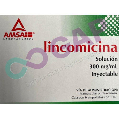 GE LINCOMICINA 300MG/1ML INY 6 AMP AMSA