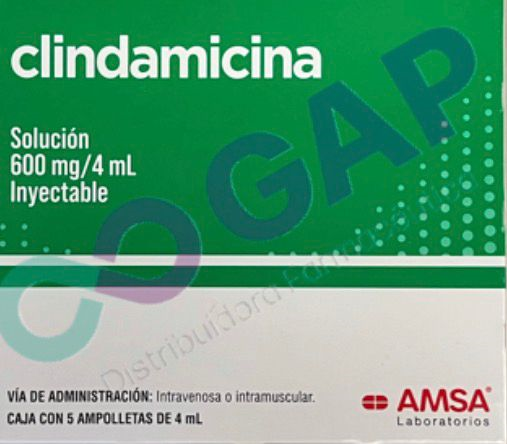 GE CLINDAMICINA 600MG/4ML INY C/5 AMP AMSA