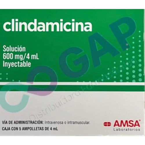 GE CLINDAMICINA 600MG/4ML INY C/5 AMP AMSA