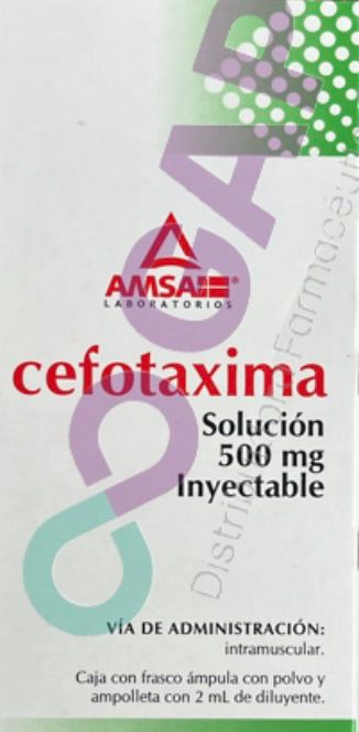 GE CEFOTAXIMA AMSA SOL INY 500 MG 2 ML