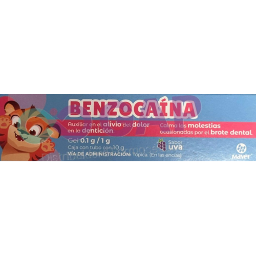 GE BENZOCAINA CAMIDEN GEL 0.1 G TUBO 10 G