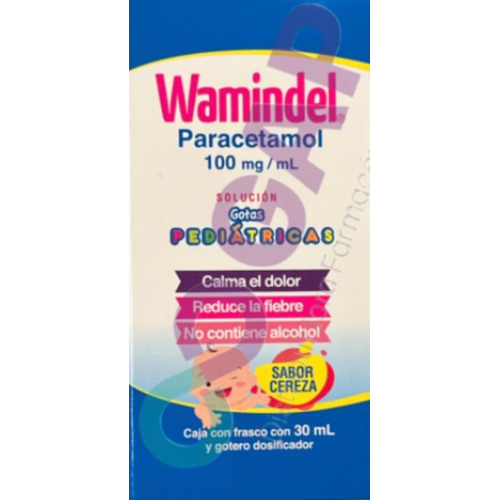 GE PARACETAMOL WAMINDEL SOL PED GTS 100MG/ML 30 ML