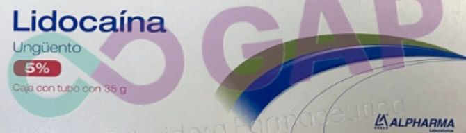 GE LIDOCAINA UNG 5% TUBO 35 G