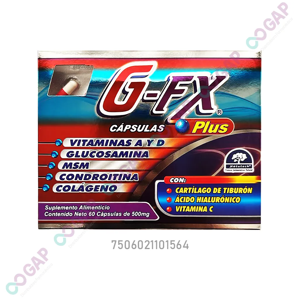 G-FX PLUS GLUCOSAMINA/CONDROITINA 500 MG 60 CAPSULAS
