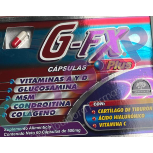 G-FX PLUS GLUCOSAMINA/CONDROITINA 500 MG 60 CAPSULAS