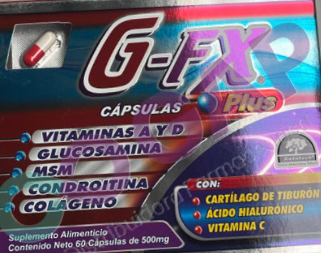 G-FX PLUS GLUCOSAMINA/CONDROITINA 500 MG 60 CAPSULAS