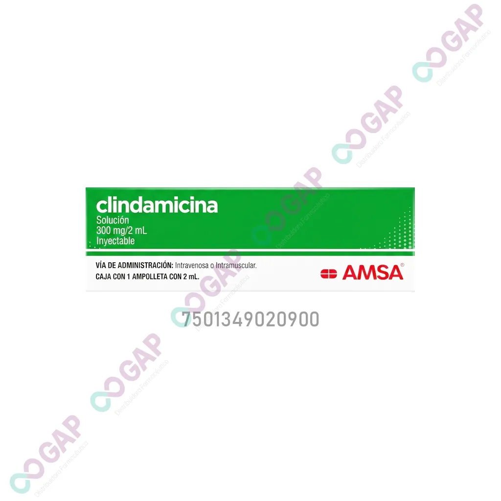GE CLINDAMICINA AMSA 300 MG SOL INY 300 MG 1 AMP 2 ML