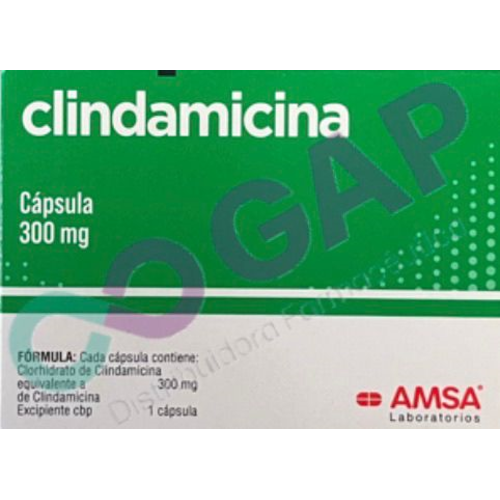 GE CLINDAMICINA AMSA 300 MG 16 CAPSULAS