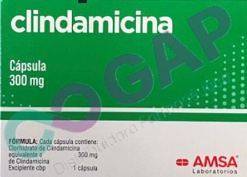 GE CLINDAMICINA AMSA 300 MG 16 CAPSULAS