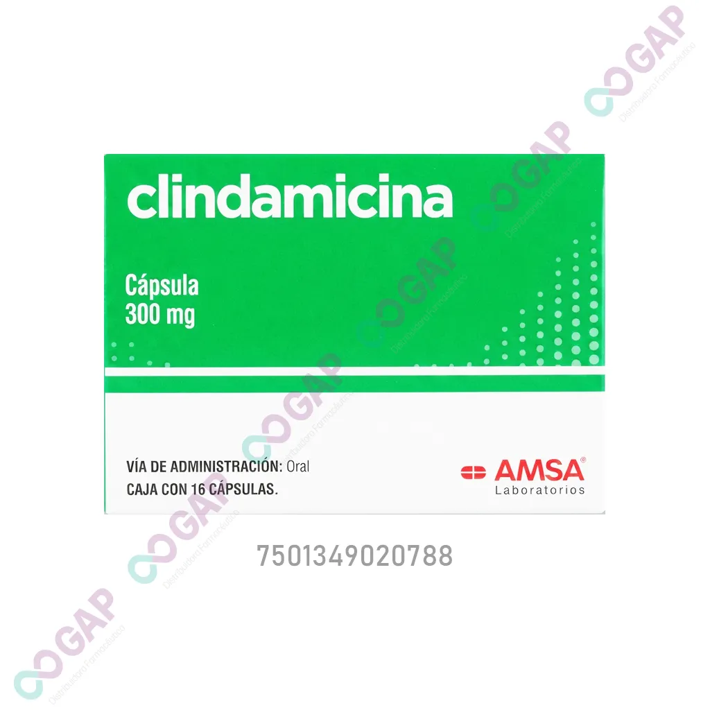 GE CLINDAMICINA AMSA 300 MG 16 CAPSULAS