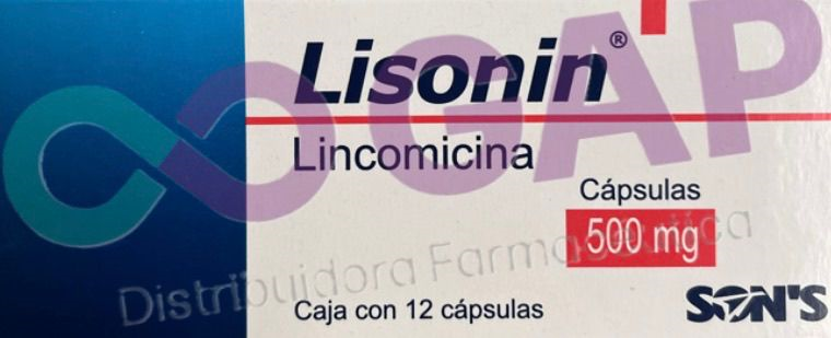 GE LINCOMICINA LISONIN 500 MG 12 CAPSULAS